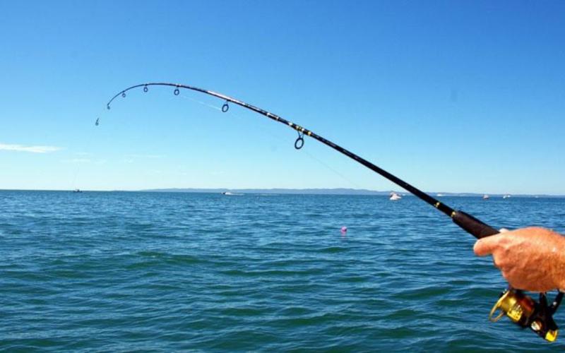 Ψάρεμα Μισή Μέρα